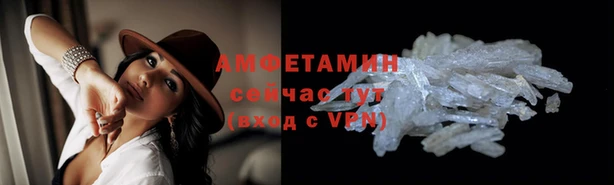 ГАЛЛЮЦИНОГЕННЫЕ ГРИБЫ Весьегонск