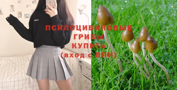 Альфа ПВП Нефтекумск