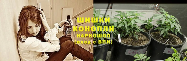 Альфа ПВП Нефтекумск